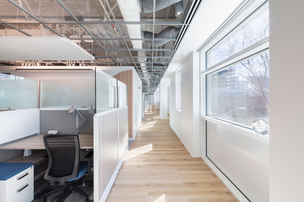 Elisif_20210306_5814-Edit-proof