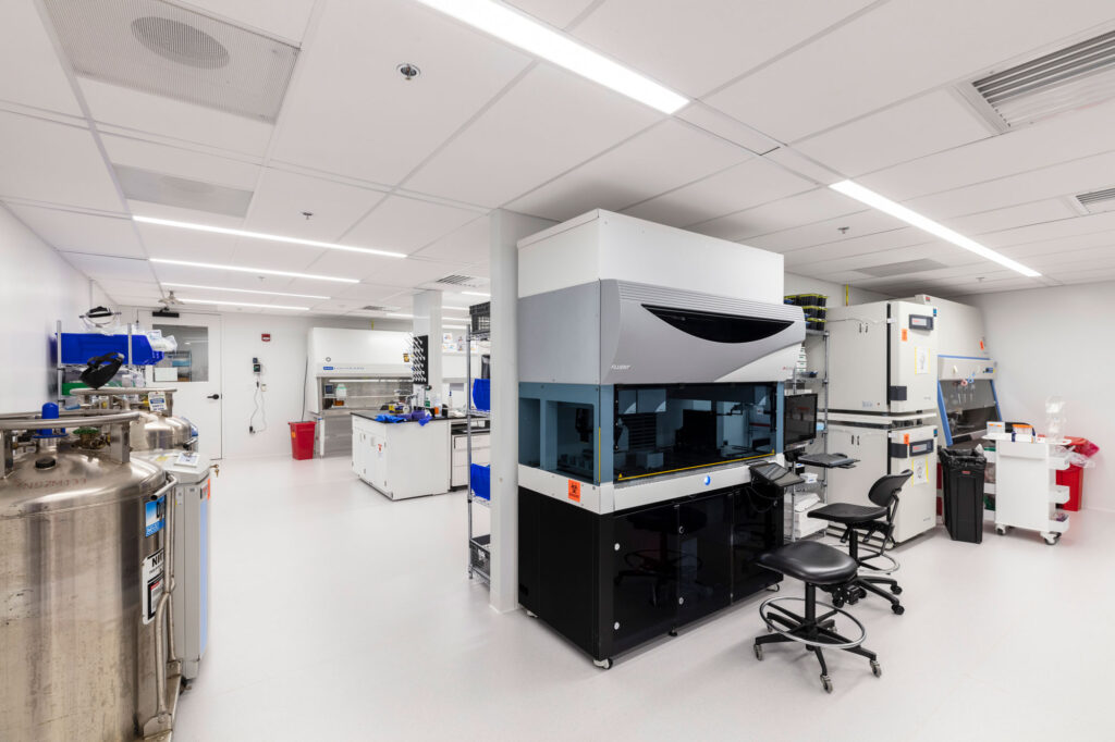 Elisif_20210306_5854-proof